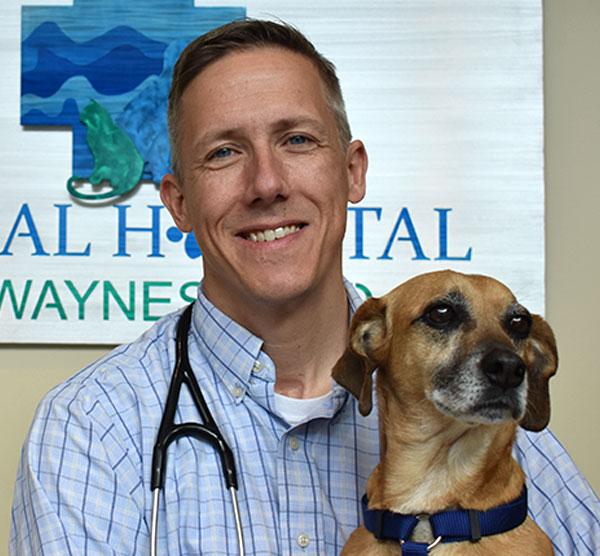 Dr. Lorenz: Veterinary Staff in Waynesboro